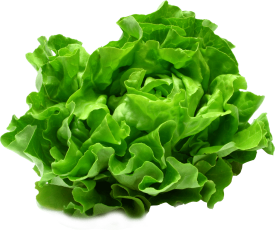 Salade KlassBox